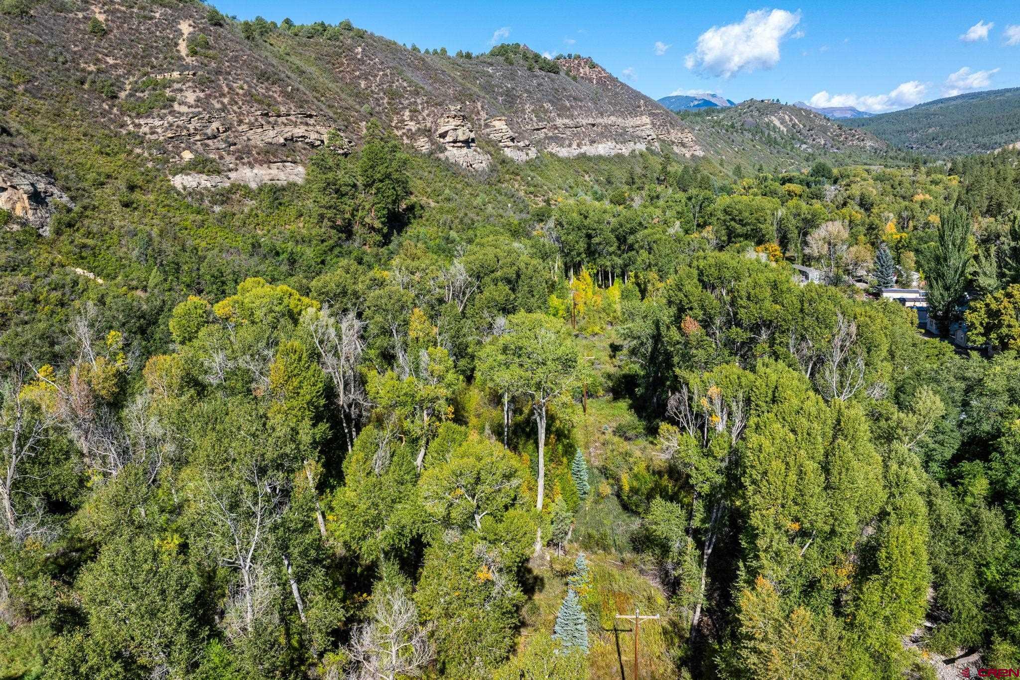 441 County Road 204 Durango, CO 81301 - Photo 18 of 30 a view of a lush green forest with a mountain