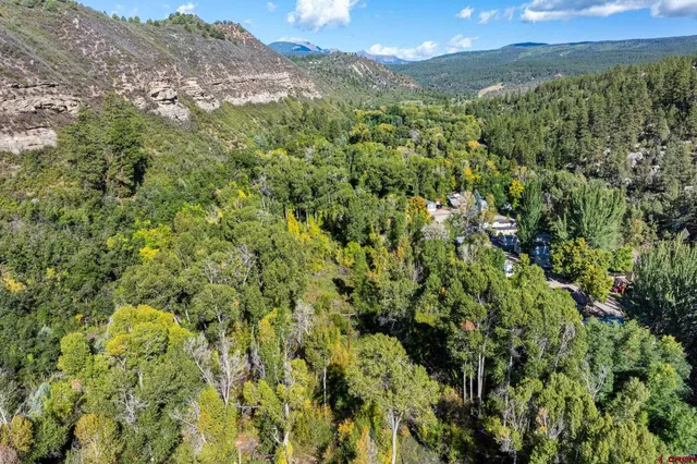 a view of a lush green forest with an mountain