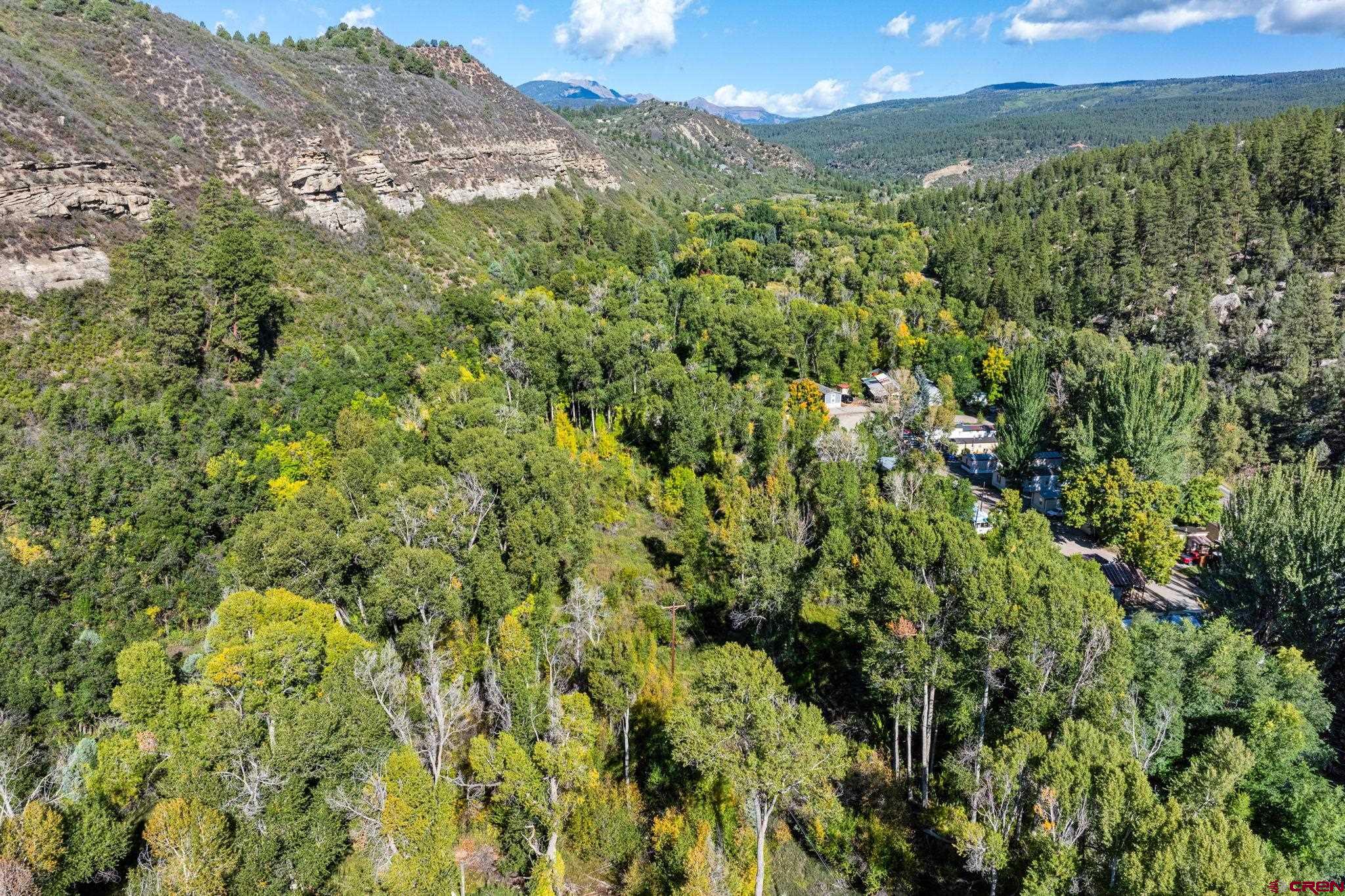 441 County Road 204 Durango, CO 81301 - Photo 19 of 30 a view of a lush green forest with an mountain