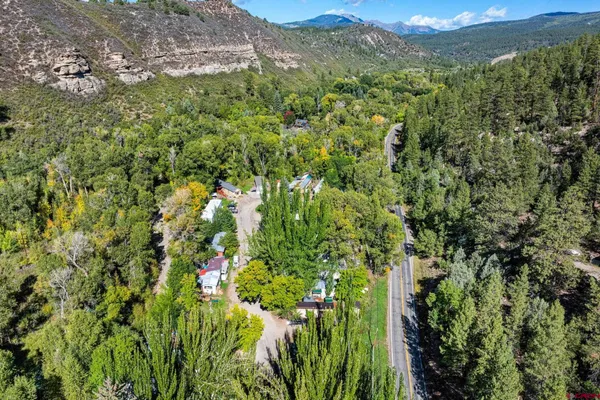 a view of a lush green forest with a mountain