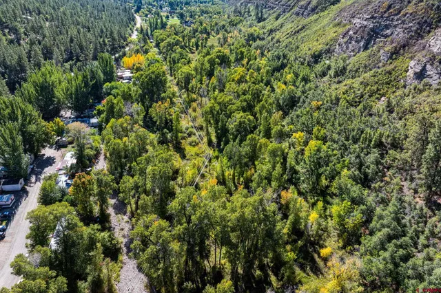 a view of a lush green forest with lots of trees