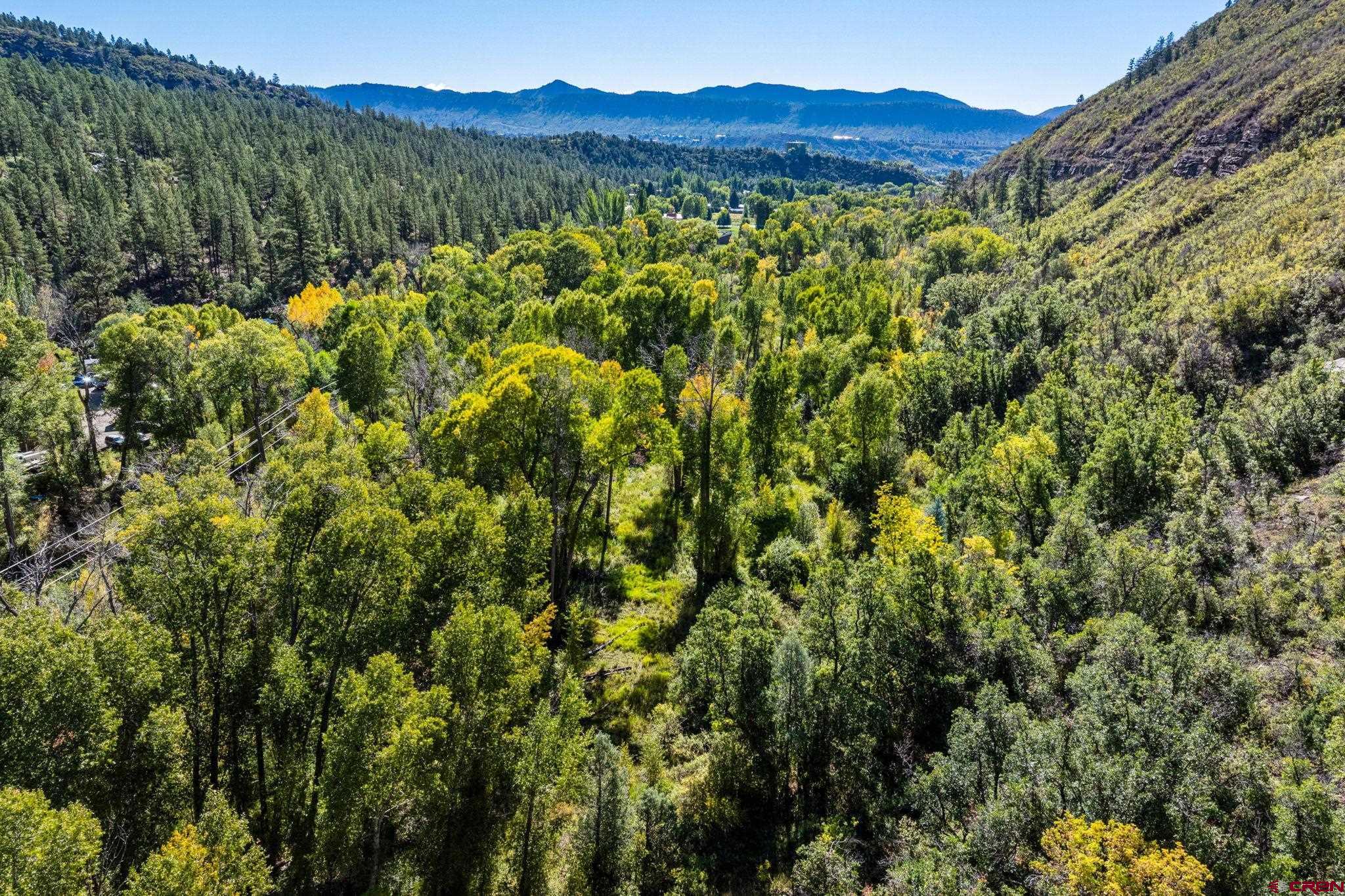 441 County Road 204 Durango, CO 81301 - Photo 23 of 30 a view of a forest with a forest