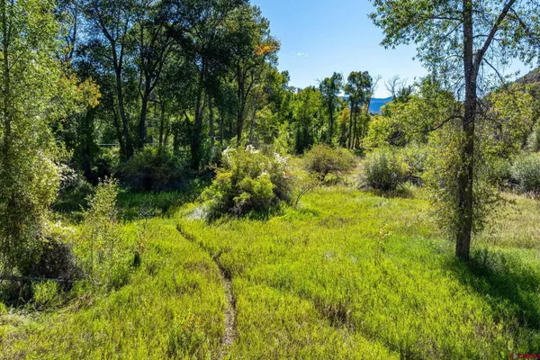 a fire hydrant in the middle of a yard