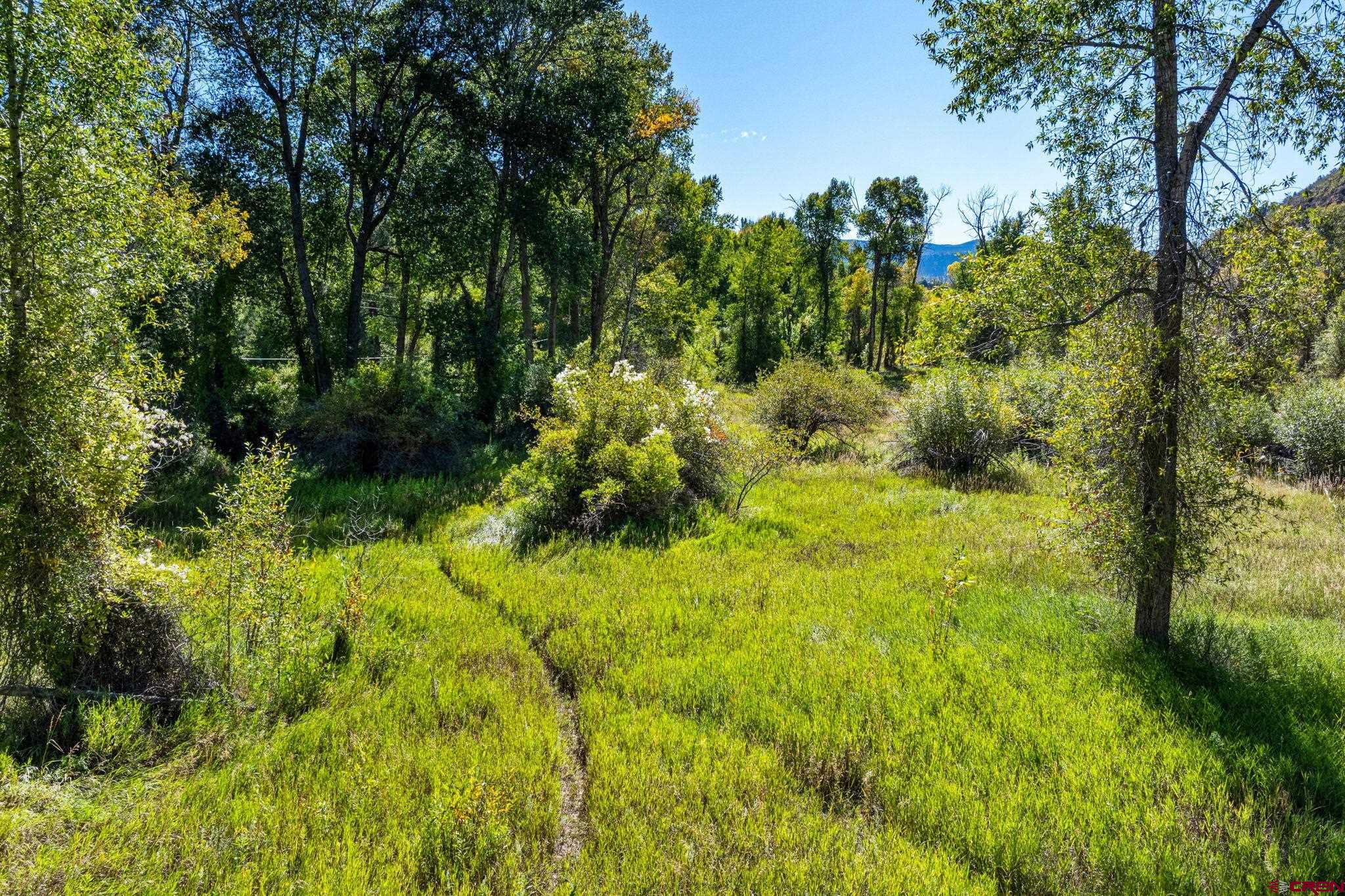 441 County Road 204 Durango, CO 81301 - Photo 24 of 30 a fire hydrant in the middle of a yard