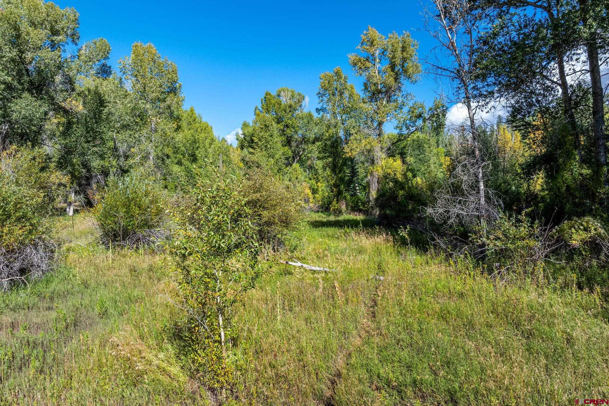 441 County Road 204 Durango, CO 81301 - Photo 26 of 30 a view of a garden