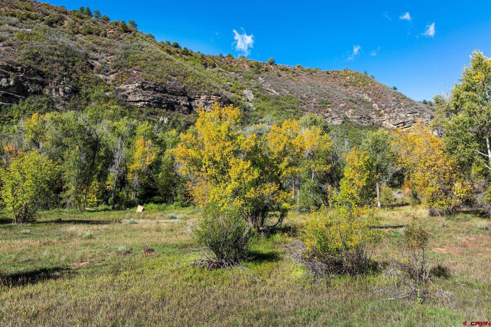 441 County Road 204 Durango, CO 81301 - Photo 27 of 30 a view of a yard with a tree