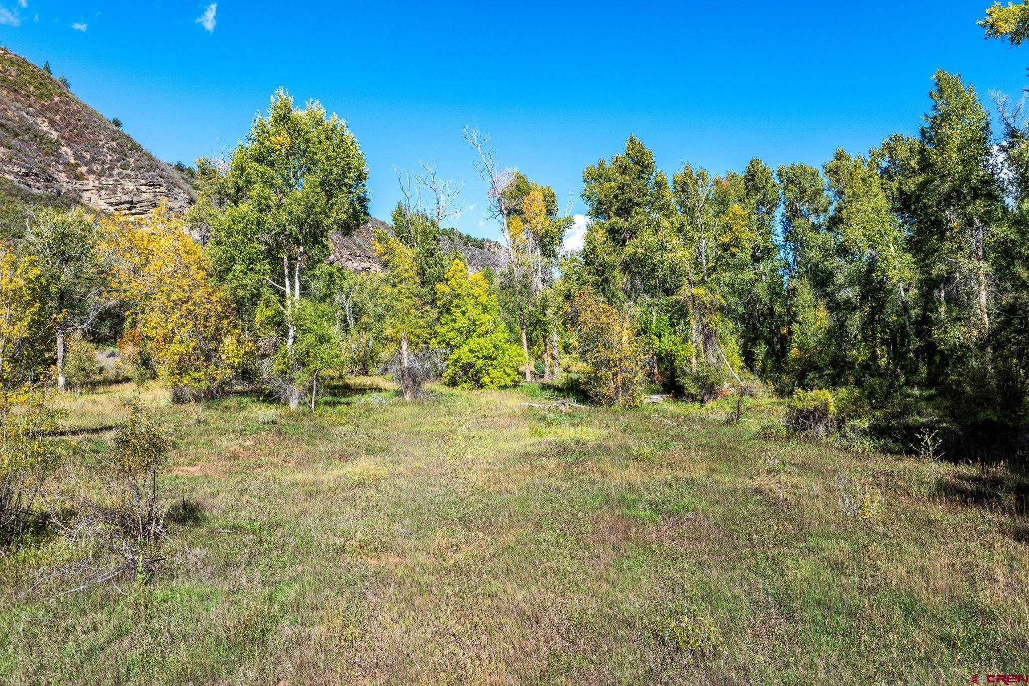 441 County Road 204 Durango, CO 81301 - Photo 28 of 30 a view of a yard with trees