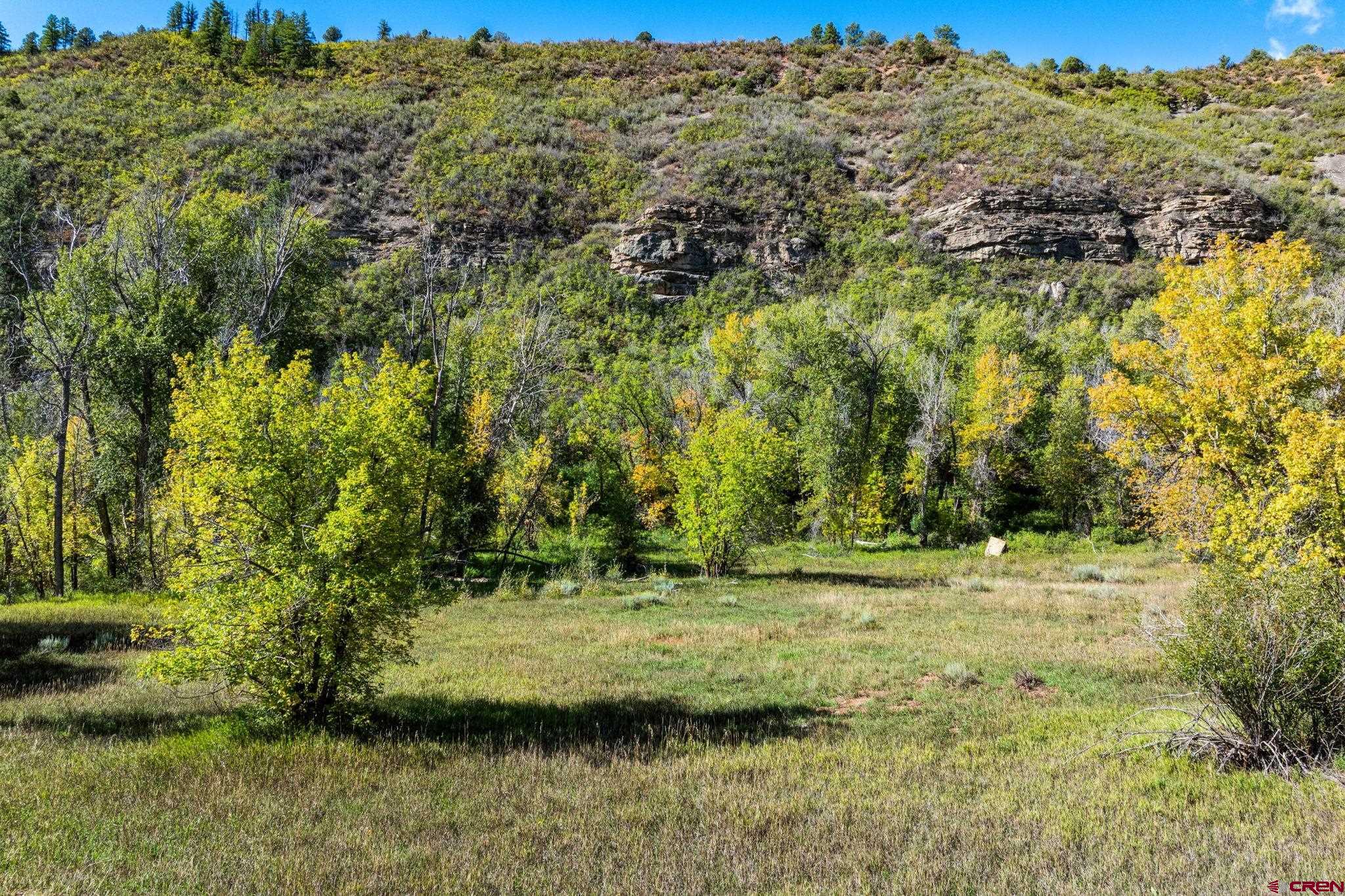 441 County Road 204 Durango, CO 81301 - Photo 29 of 30 a view of a yard with large trees