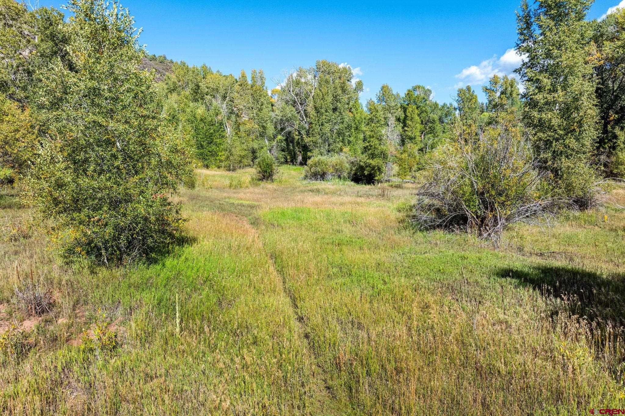 441 County Road 204 Durango, CO 81301 - Photo 30 of 30 a view of a yard with a tree