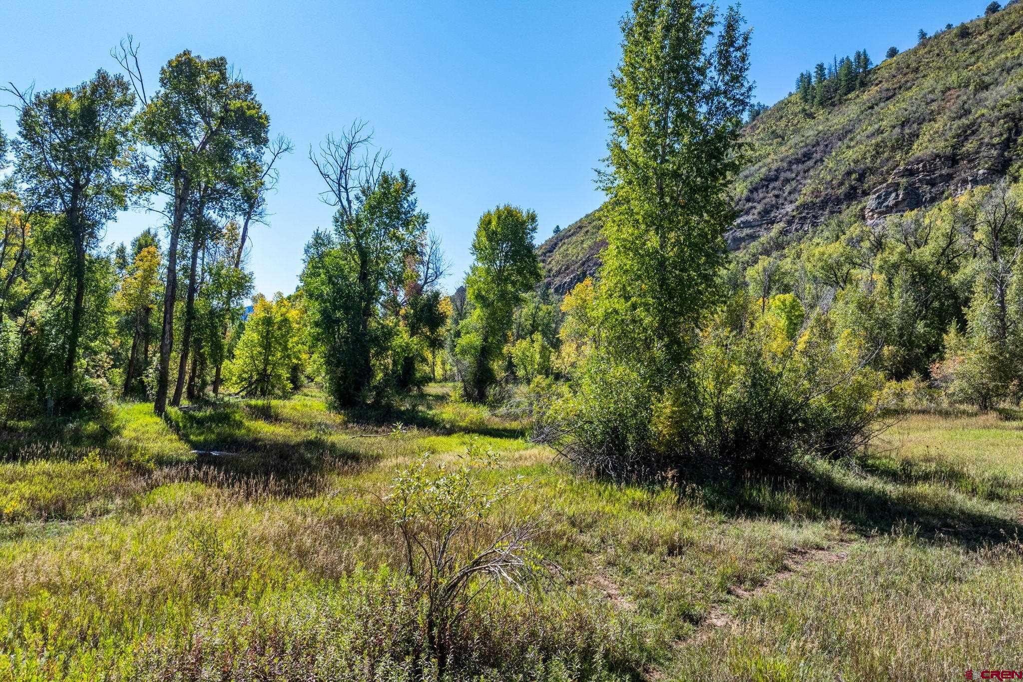 441 County Road 204 Durango, CO 81301 - Photo 4 of 30 a view of yard