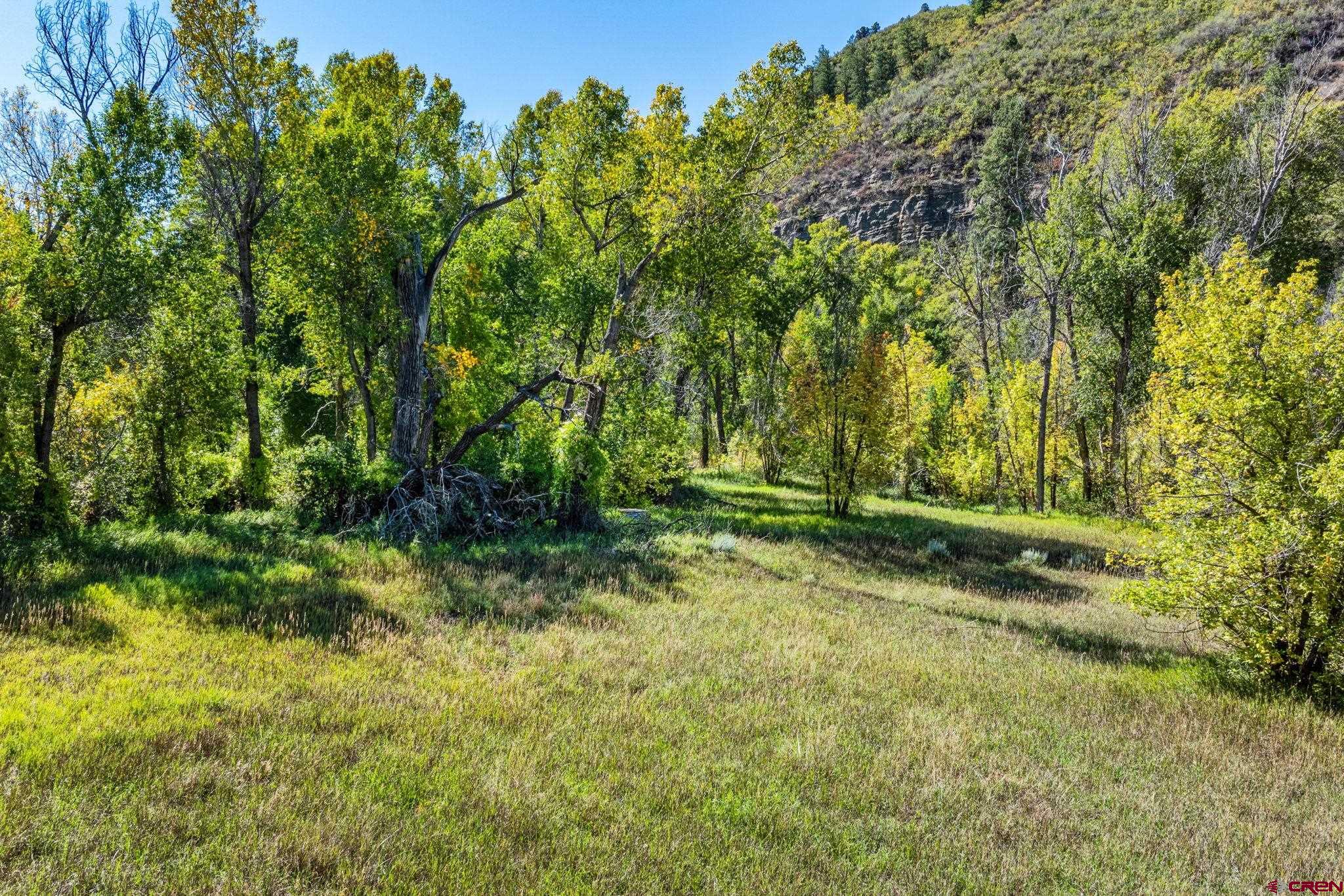 441 County Road 204 Durango, CO 81301 - Photo 5 of 30 a view of backyard