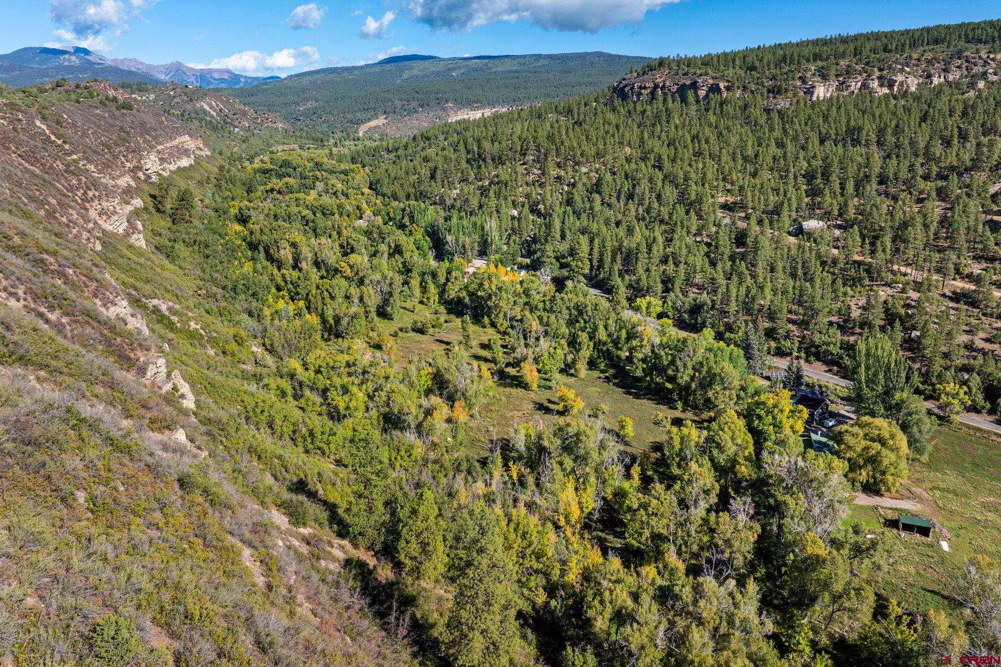 441 County Road 204 Durango, CO 81301 - Photo 10 of 30 a view of a green field