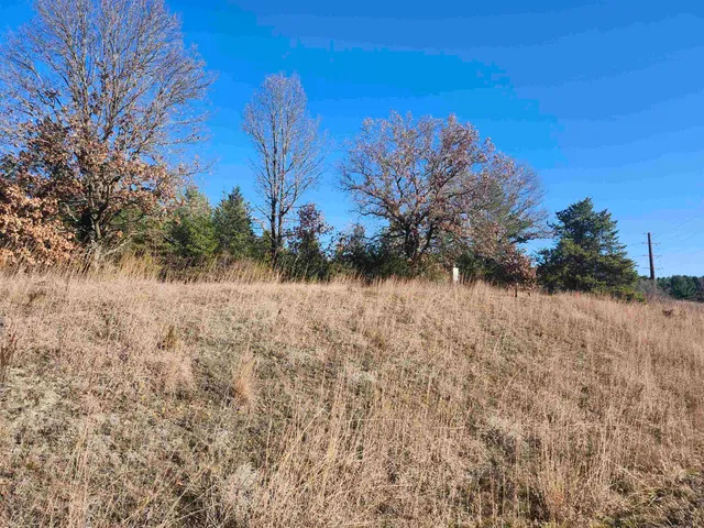 $49,500 | Czech Avenue, Coloma, WI 54930