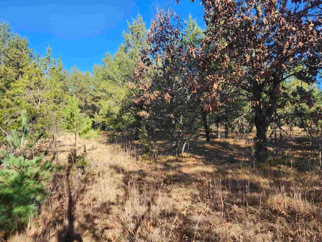 $49,500 | Czech Avenue, Coloma, WI 54930