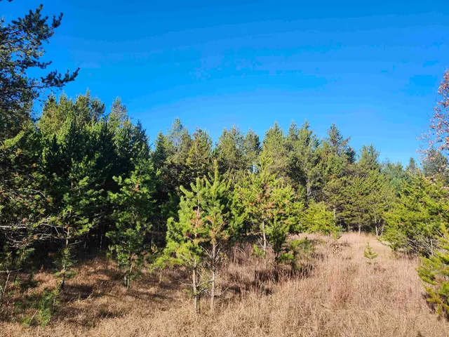 $49,500 | Czech Avenue, Coloma, WI 54930