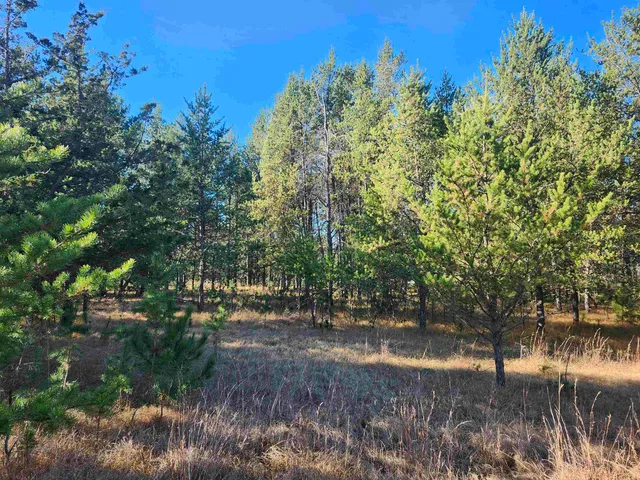 $49,500 | Czech Avenue, Coloma, WI 54930