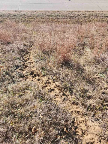 $49,500 | Czech Avenue, Coloma, WI 54930