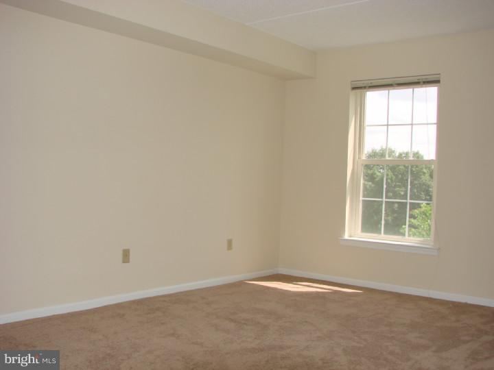 116 Brandon Road Norristown, PA 19403 - Photo 8 of 20 Master Bedroom