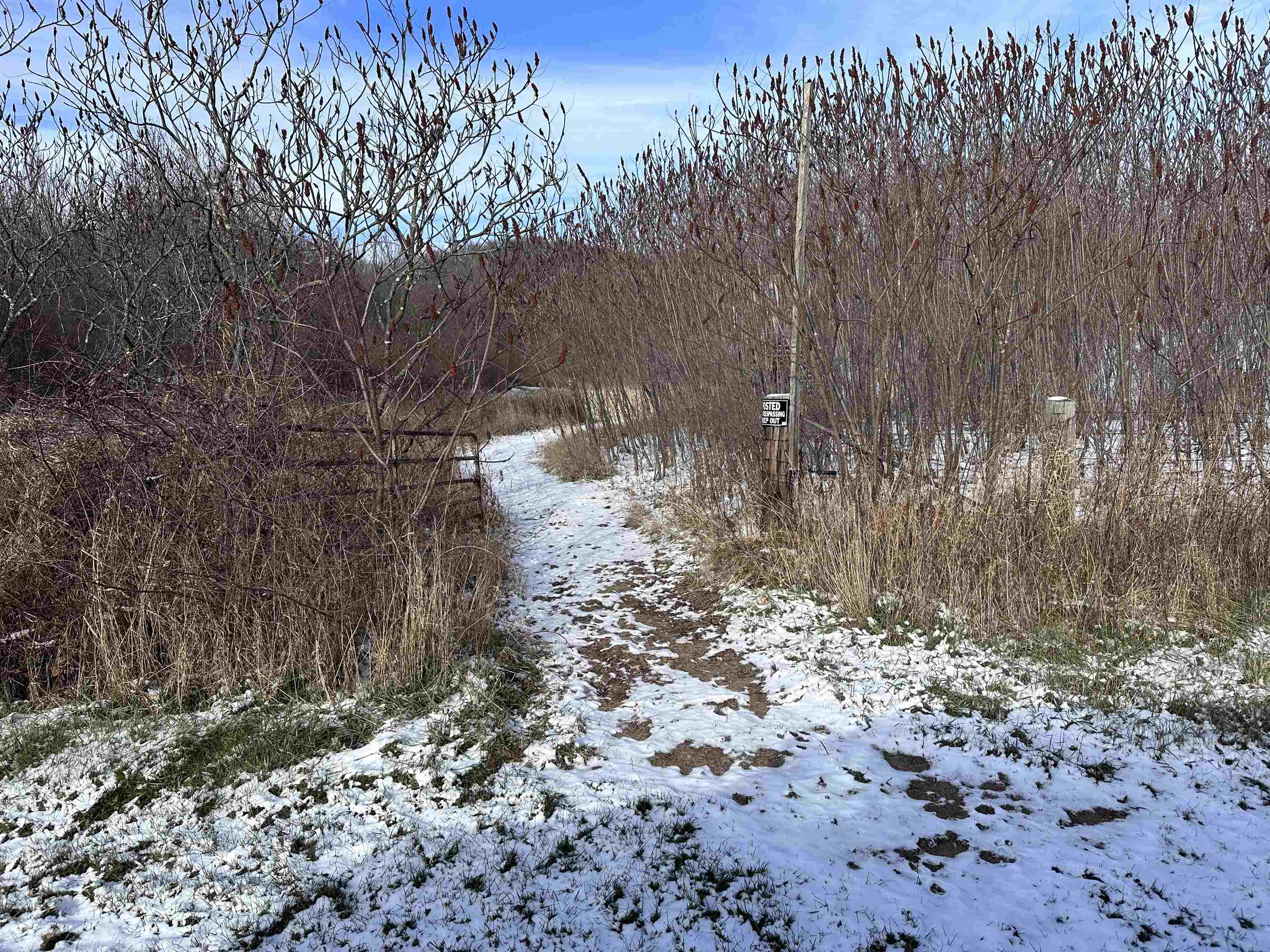 0 Wheat Hollow Road Cazenovia, WI 53924 - Photo 13 of 86