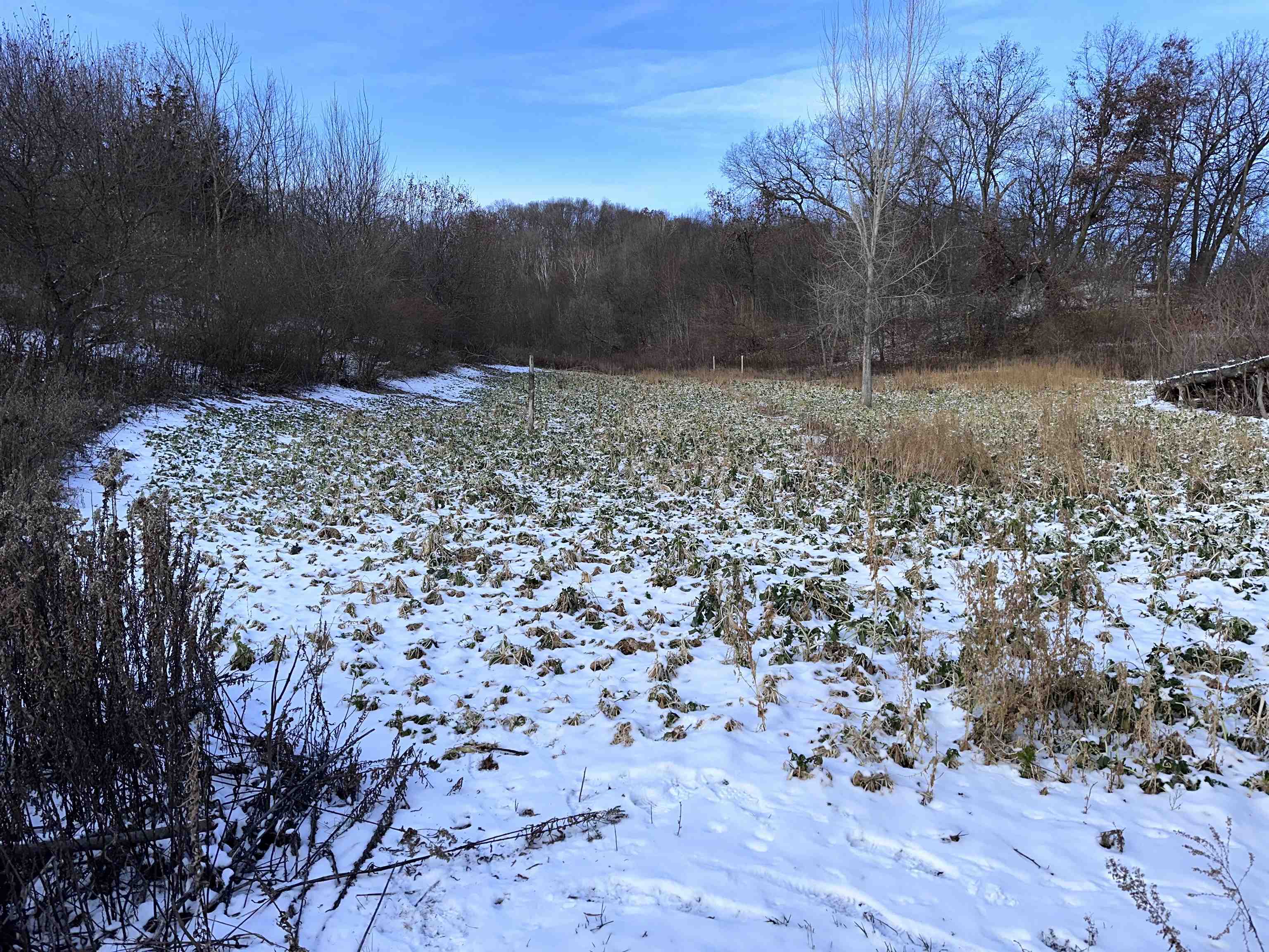 0 Wheat Hollow Road Cazenovia, WI 53924 - Photo 18 of 86