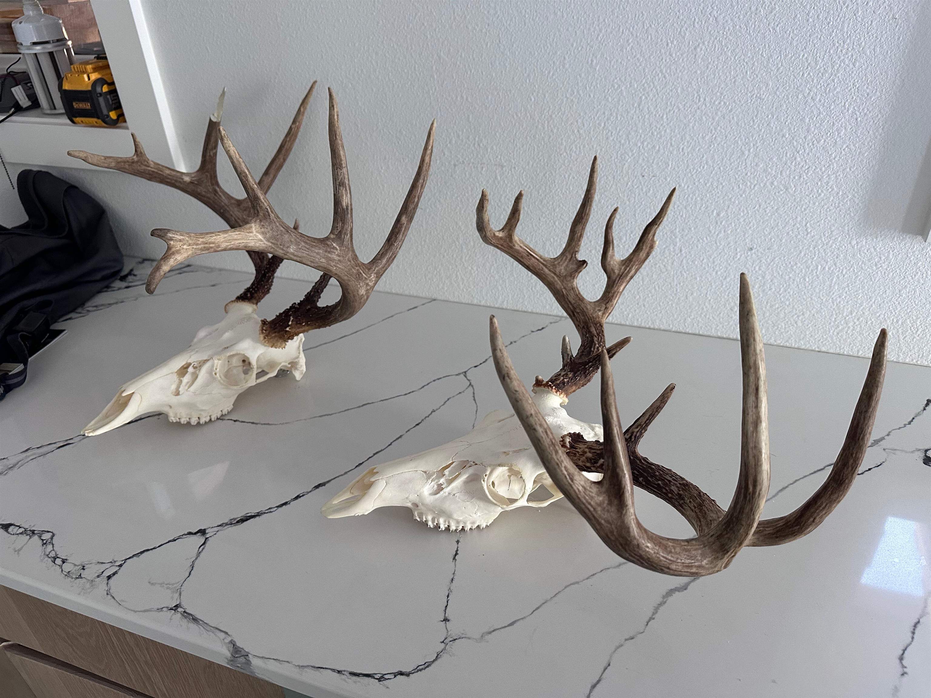 0 Wheat Hollow Road Cazenovia, WI 53924 - Photo 2 of 86