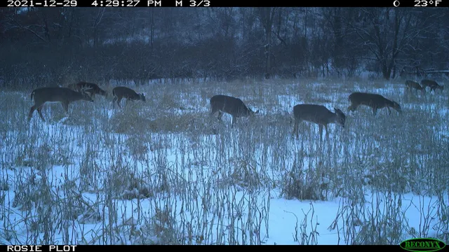 $530,000 | 0 Wheat Hollow Road, Cazenovia, WI 53924