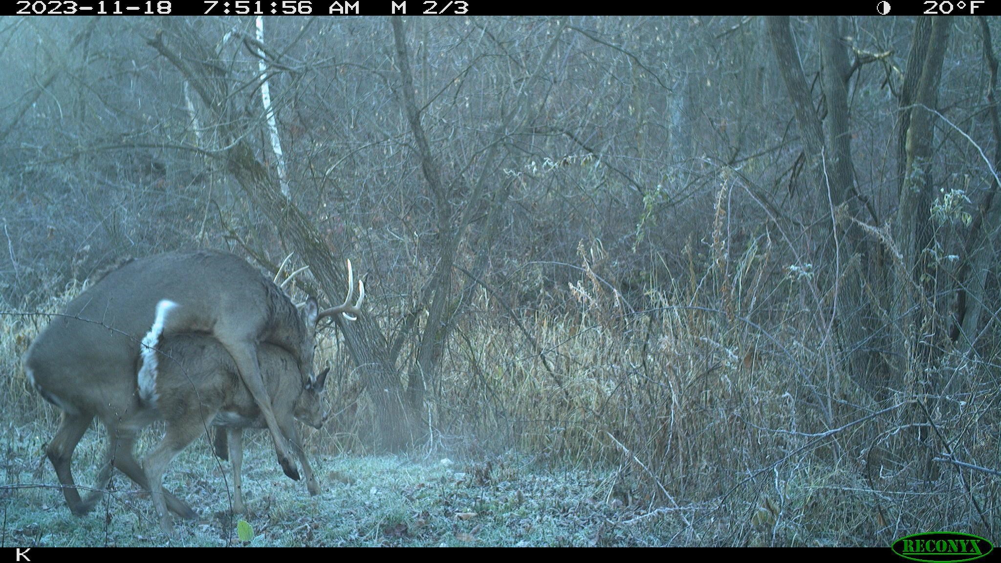0 Wheat Hollow Road Cazenovia, WI 53924 - Photo 29 of 86