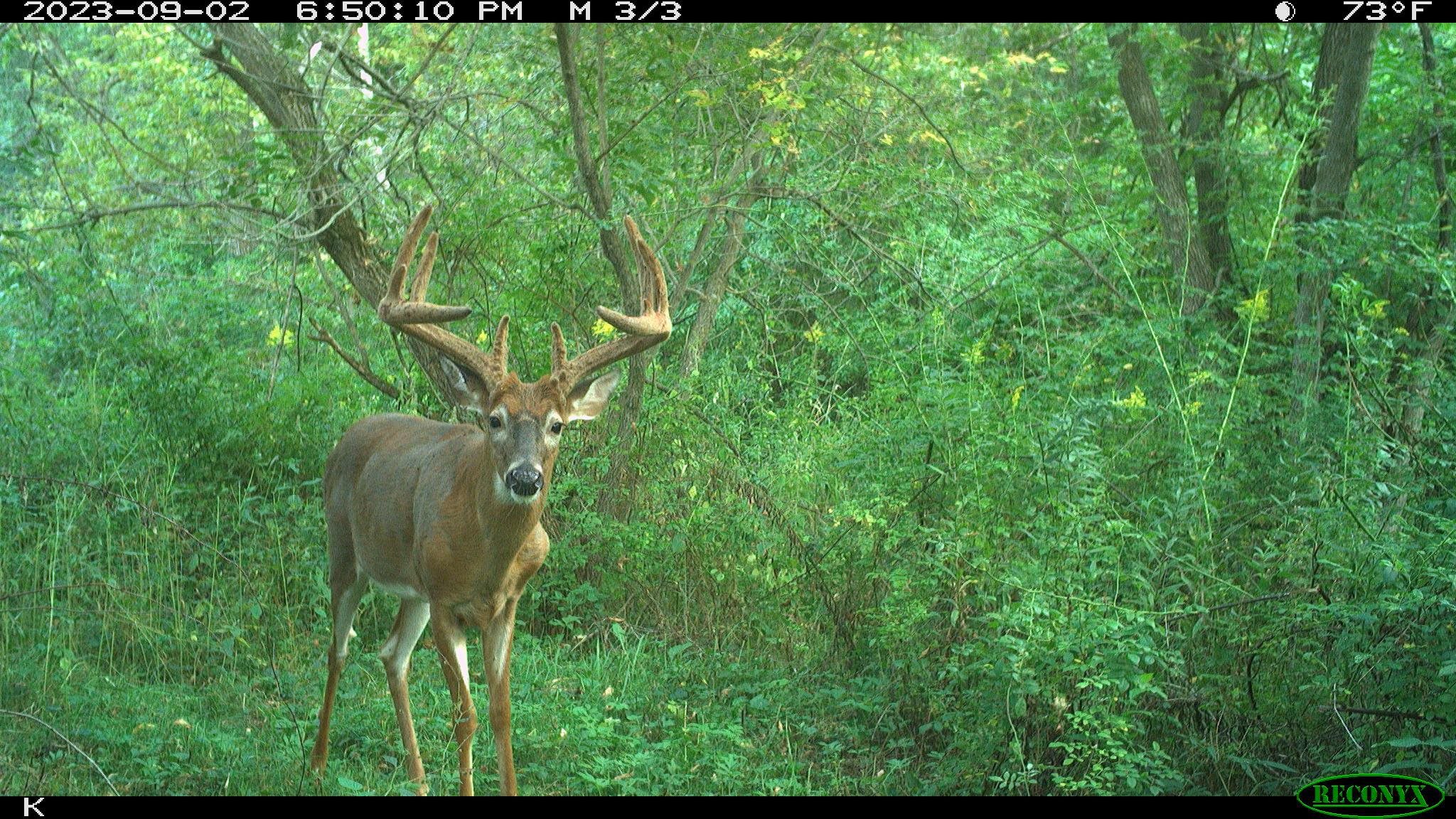 0 Wheat Hollow Road Cazenovia, WI 53924 - Photo 3 of 86