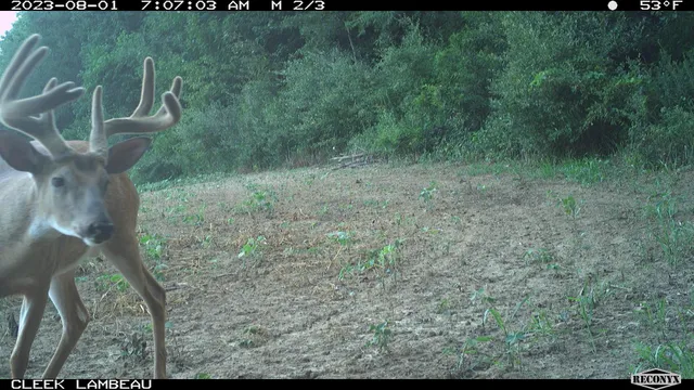 $530,000 | 0 Wheat Hollow Road, Cazenovia, WI 53924