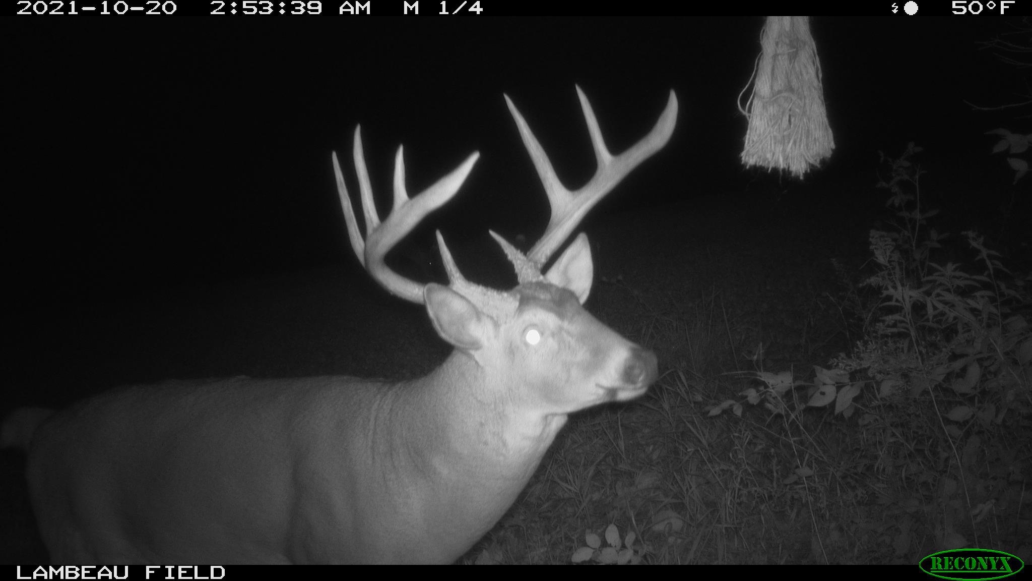 0 Wheat Hollow Road Cazenovia, WI 53924 - Photo 41 of 86