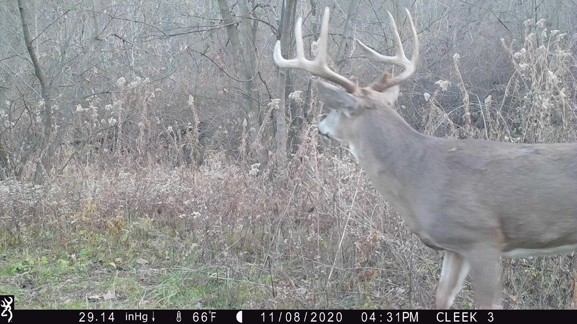 0 Wheat Hollow Road Cazenovia, WI 53924 - Photo 43 of 86