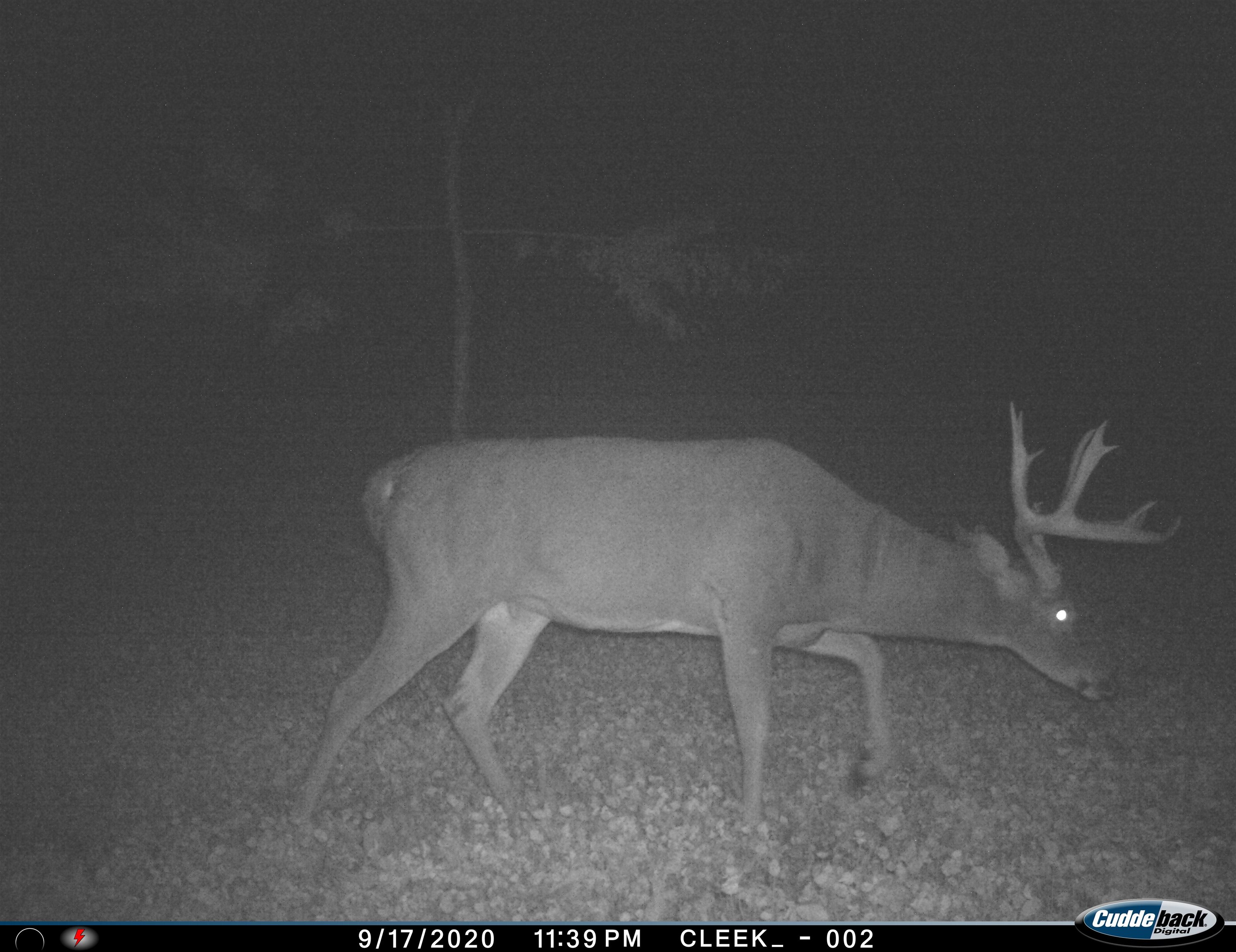 0 Wheat Hollow Road Cazenovia, WI 53924 - Photo 51 of 86