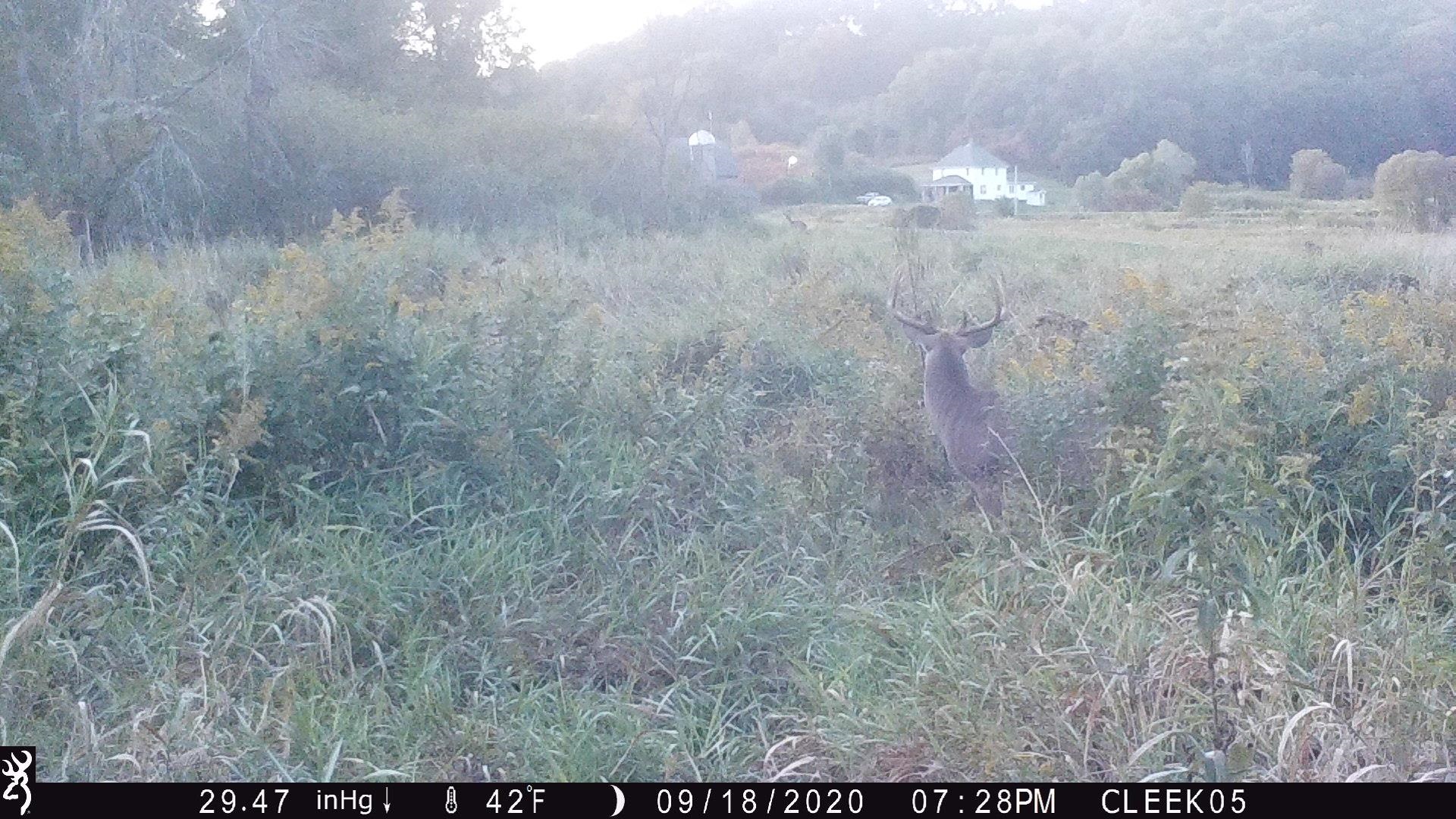 0 Wheat Hollow Road Cazenovia, WI 53924 - Photo 52 of 86