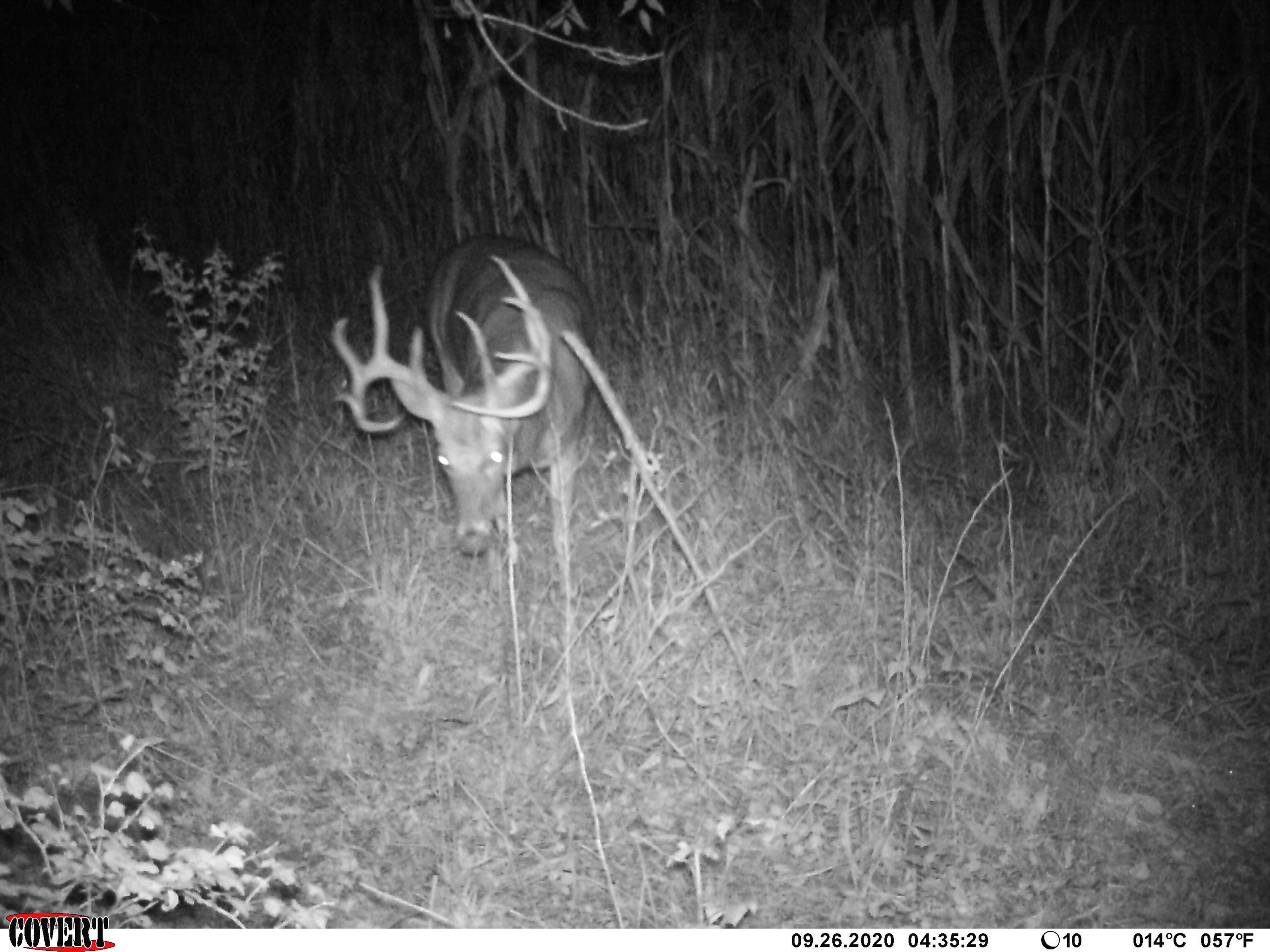 0 Wheat Hollow Road Cazenovia, WI 53924 - Photo 53 of 86