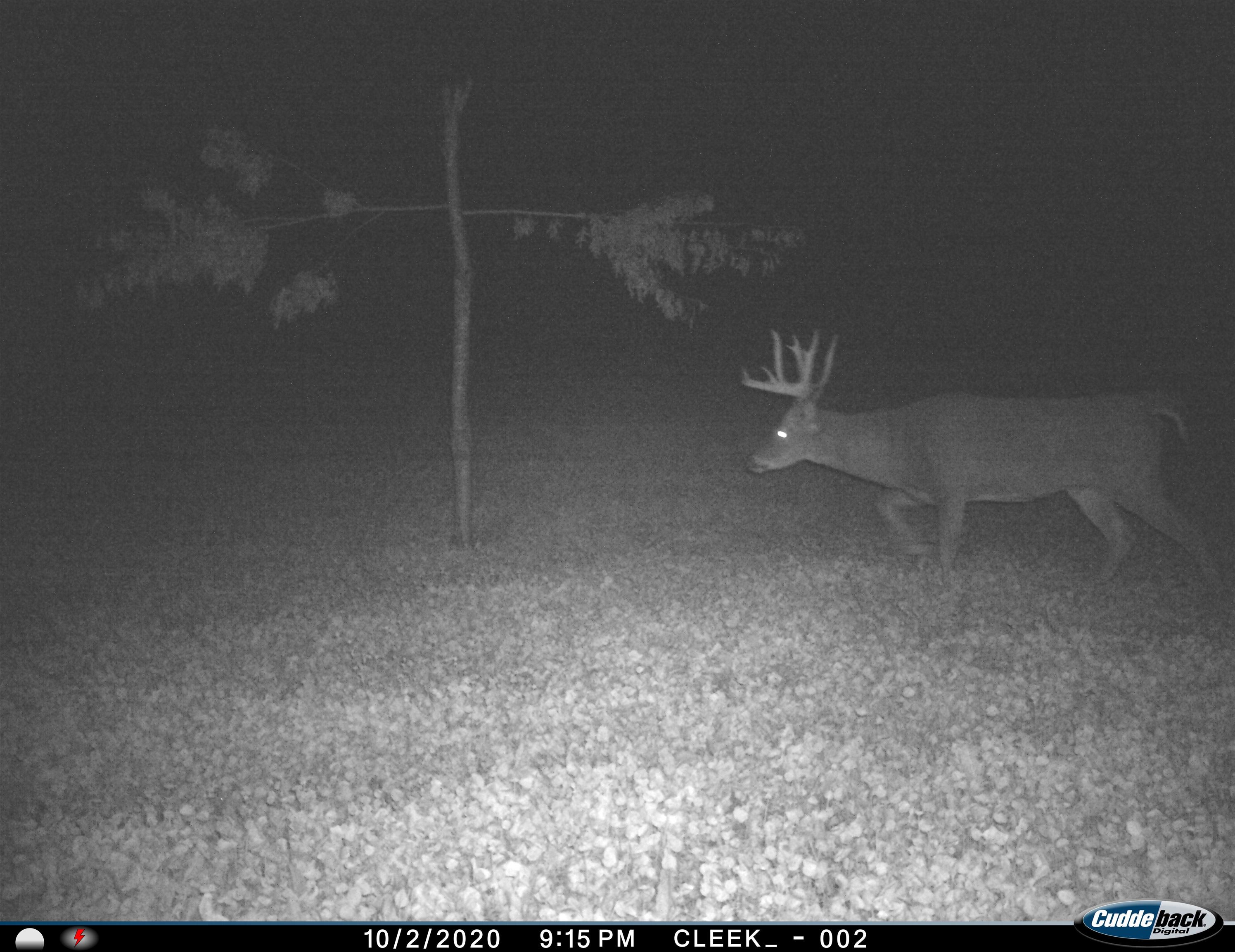 0 Wheat Hollow Road Cazenovia, WI 53924 - Photo 54 of 86