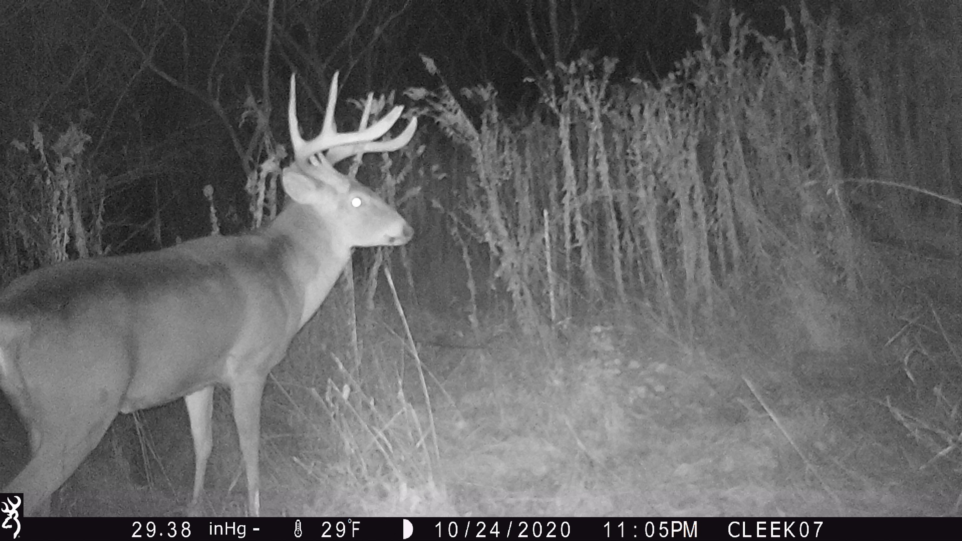 0 Wheat Hollow Road Cazenovia, WI 53924 - Photo 55 of 86