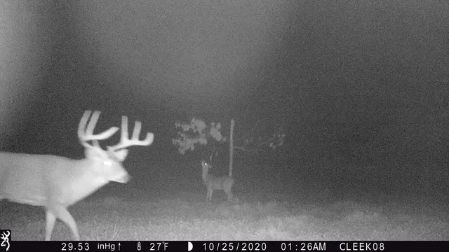 $530,000 | 0 Wheat Hollow Road, Cazenovia, WI 53924