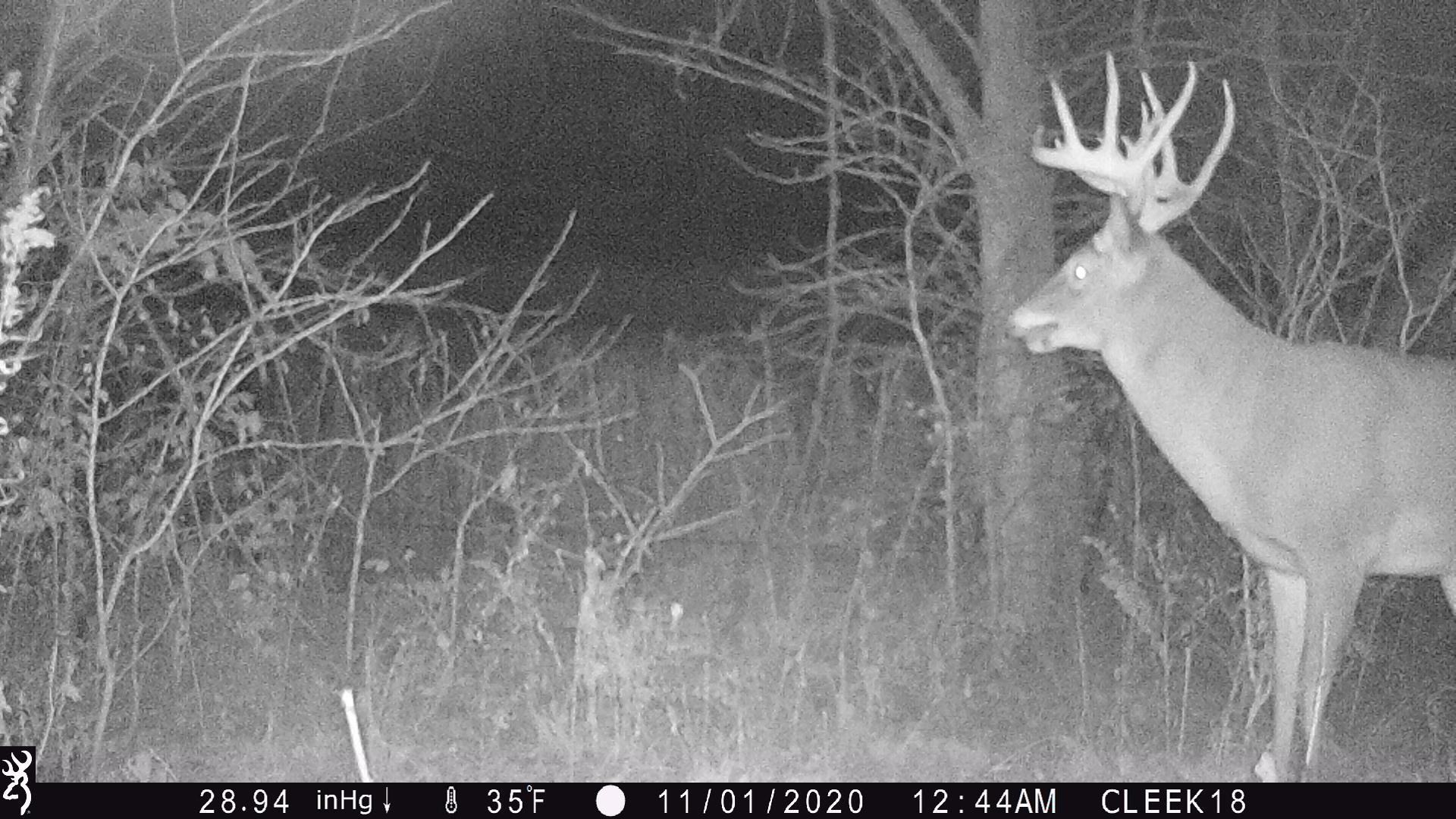 0 Wheat Hollow Road Cazenovia, WI 53924 - Photo 57 of 86