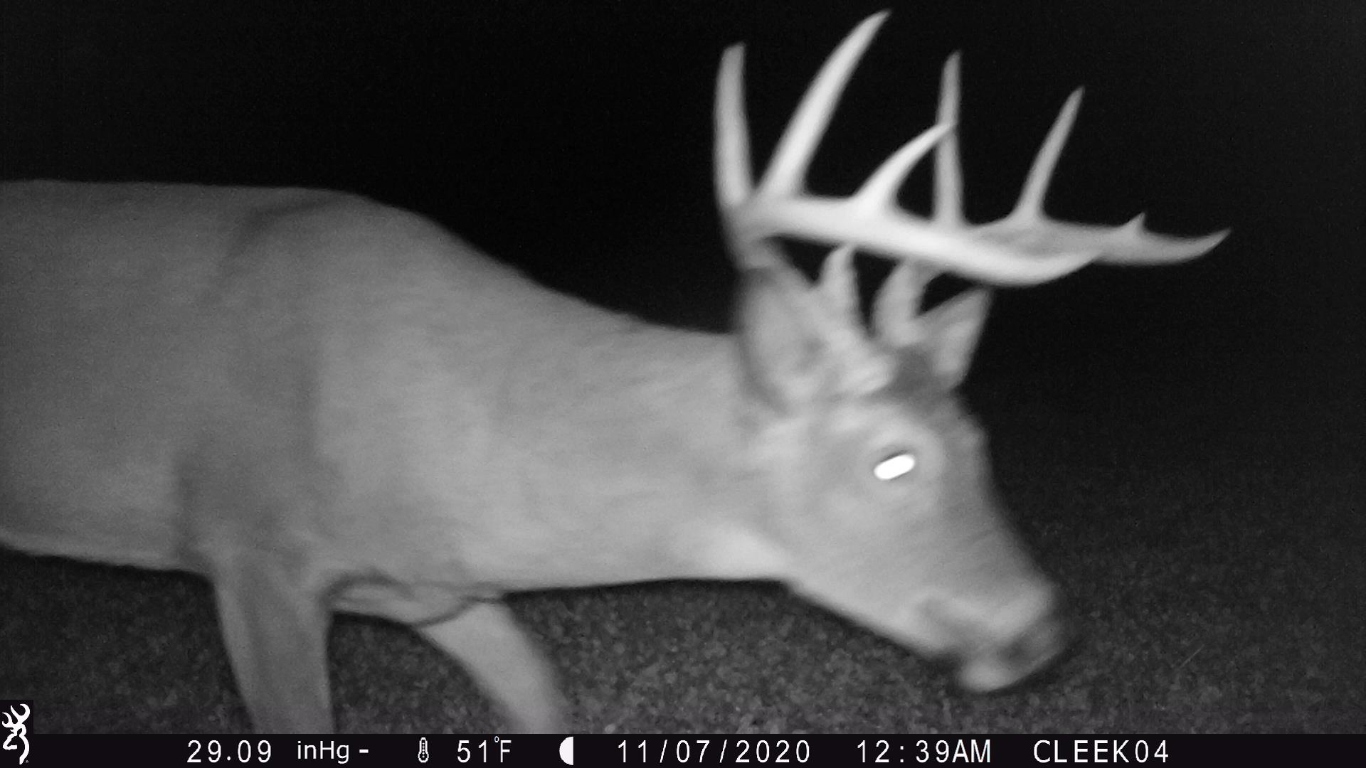 0 Wheat Hollow Road Cazenovia, WI 53924 - Photo 58 of 86