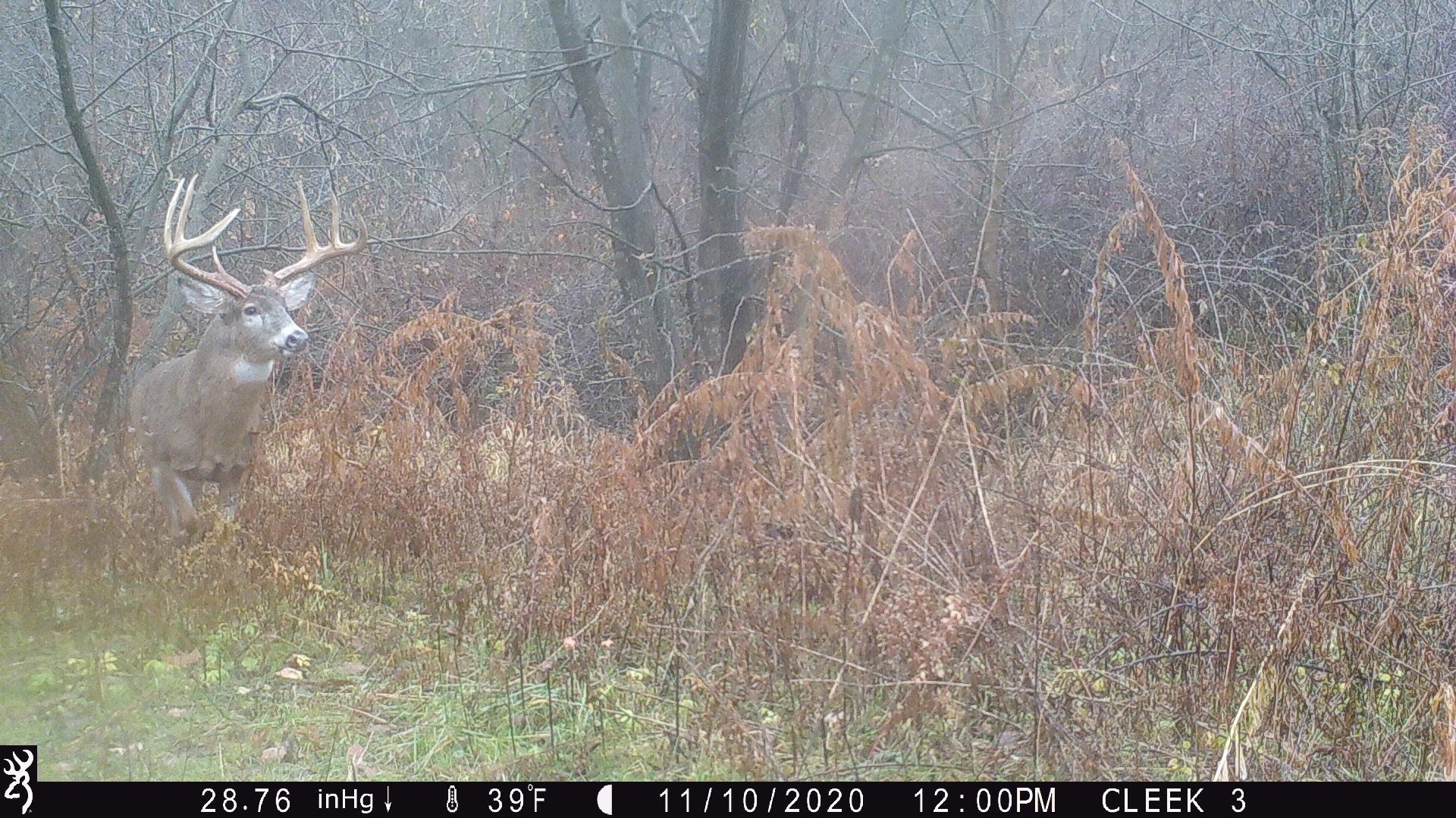 0 Wheat Hollow Road Cazenovia, WI 53924 - Photo 59 of 86