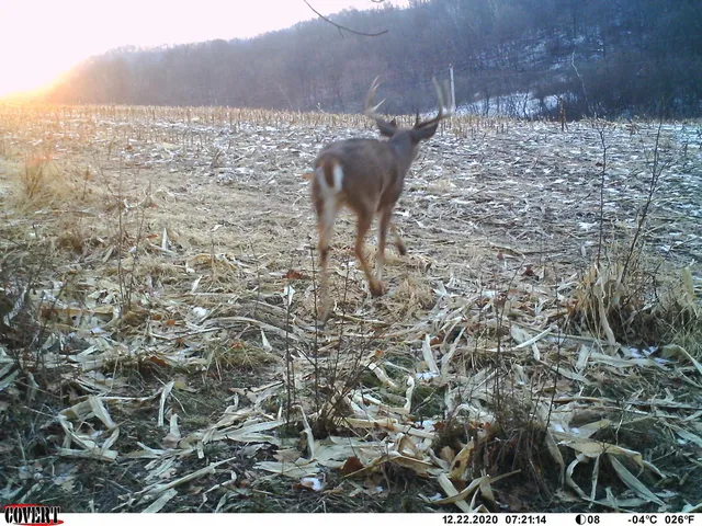 $530,000 | 0 Wheat Hollow Road, Cazenovia, WI 53924