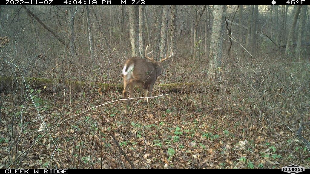 0 Wheat Hollow Road Cazenovia, WI 53924 - Photo 61 of 86