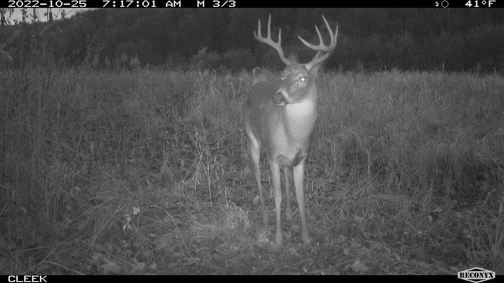 0 Wheat Hollow Road Cazenovia, WI 53924 - Photo 62 of 86