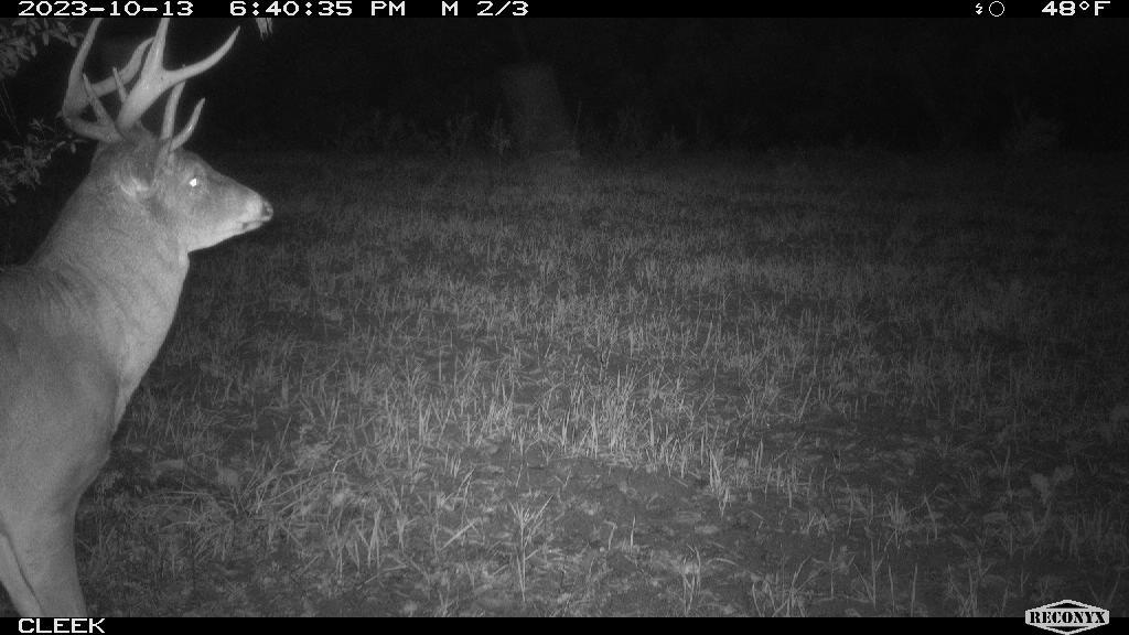 0 Wheat Hollow Road Cazenovia, WI 53924 - Photo 63 of 86