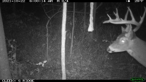 0 Wheat Hollow Road Cazenovia, WI 53924 - Photo 64 of 86