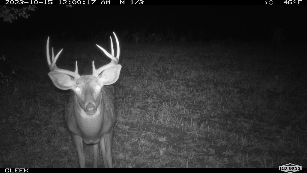 0 Wheat Hollow Road Cazenovia, WI 53924 - Photo 65 of 86