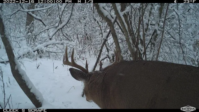 $530,000 | 0 Wheat Hollow Road, Cazenovia, WI 53924