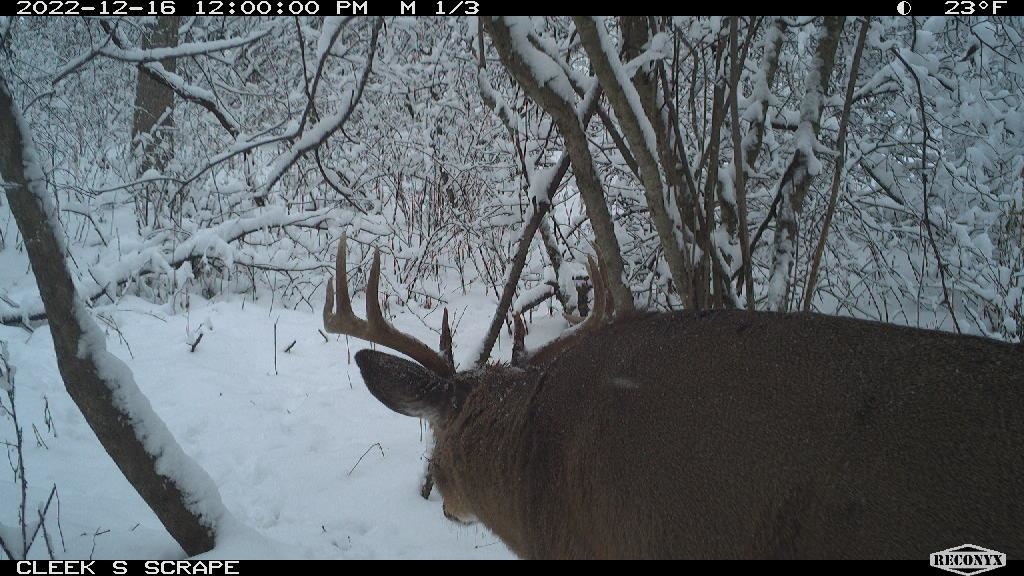 0 Wheat Hollow Road Cazenovia, WI 53924 - Photo 66 of 86