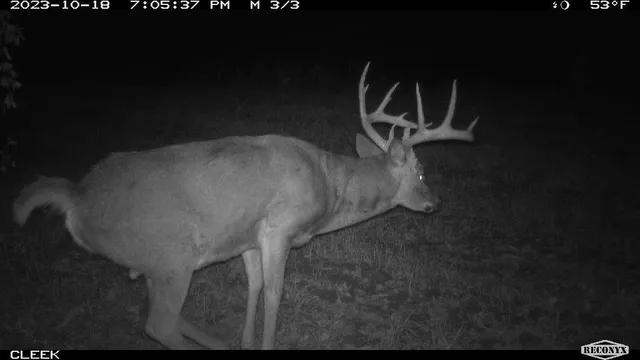 $530,000 | 0 Wheat Hollow Road, Cazenovia, WI 53924