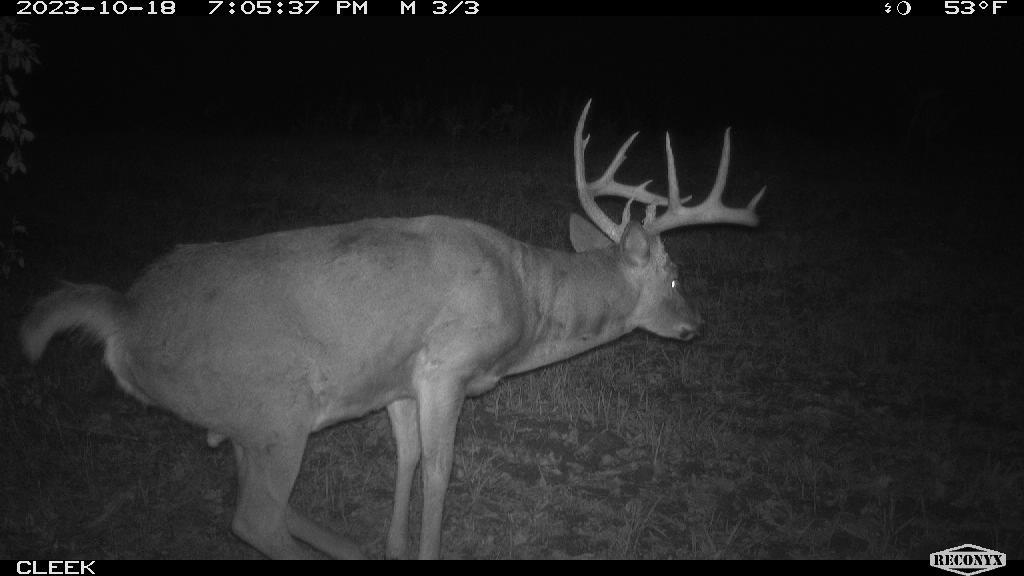 0 Wheat Hollow Road Cazenovia, WI 53924 - Photo 67 of 86